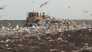 Charleston waste management